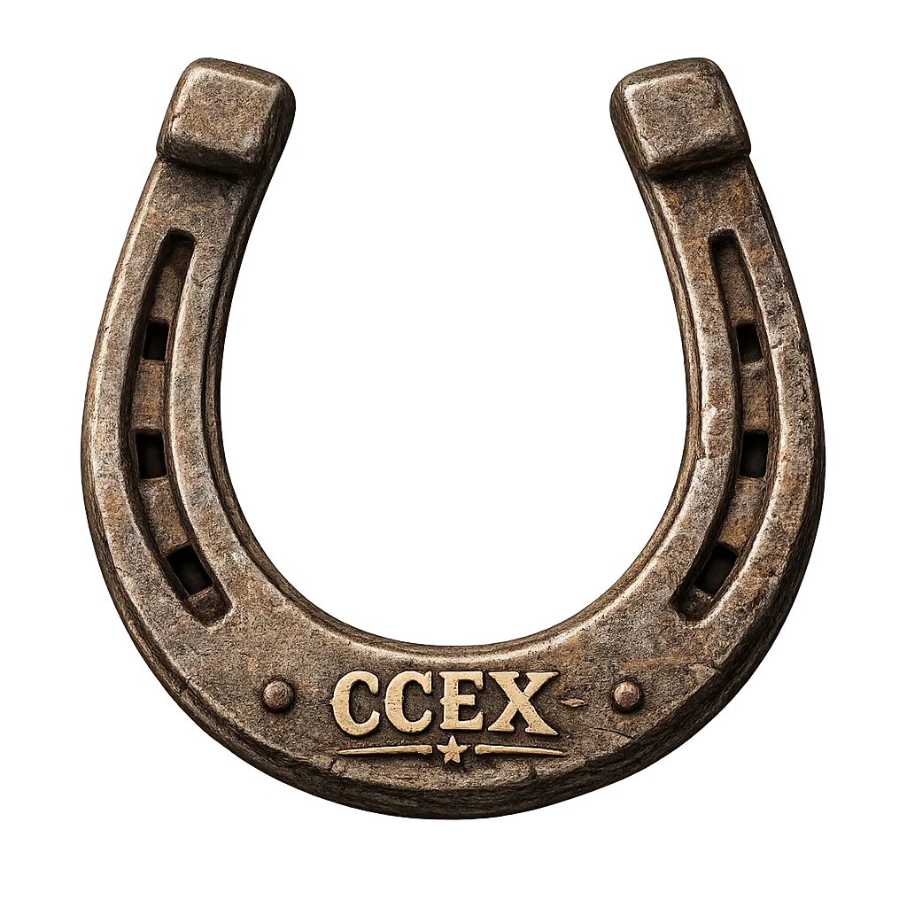 Decorative horseshoe